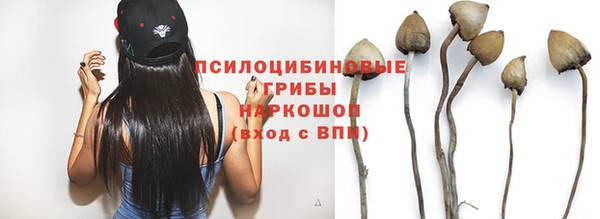 хмурый Абинск